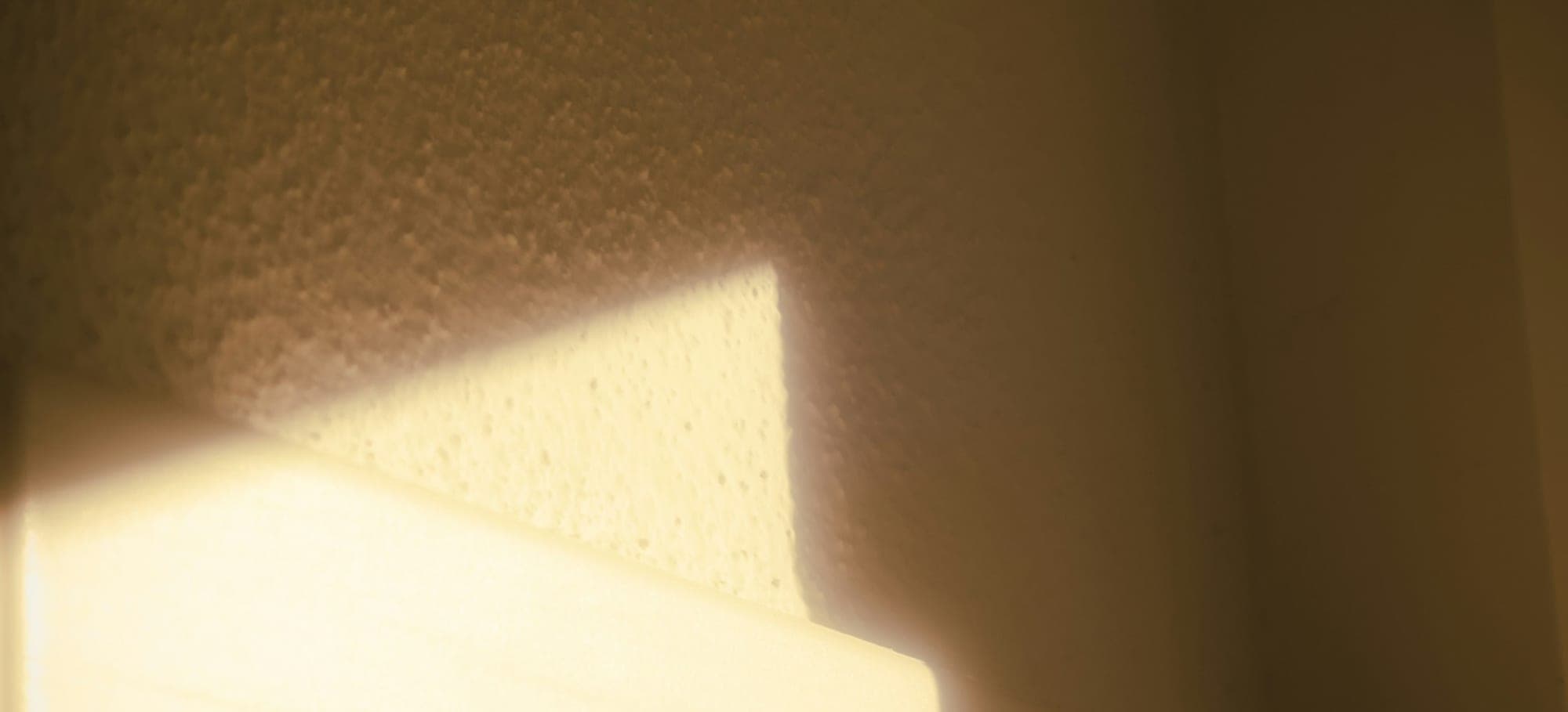 Warm afternoon light falling across a textured wall